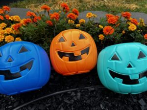 colored pumpkins on halloween